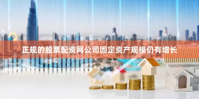 正规的股票配资网公司固定资产规模仍有增长