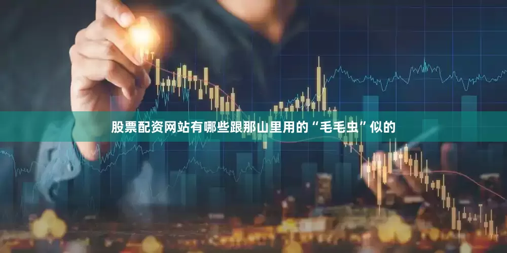 股票配资网站有哪些跟那山里用的“毛毛虫”似的