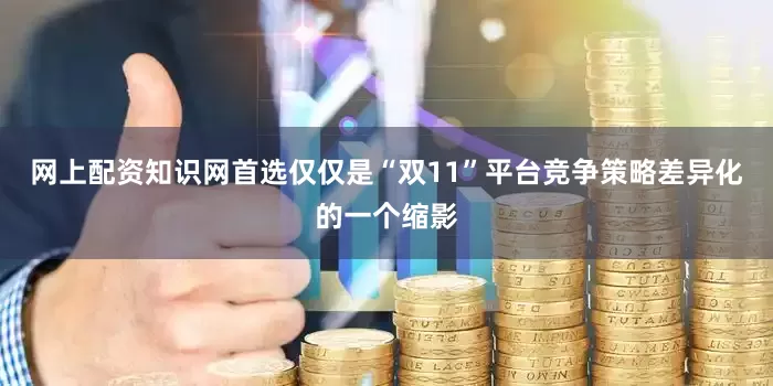网上配资知识网首选仅仅是“双11”平台竞争策略差异化的一个缩影